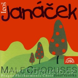 Levně Male Choruses (Kantor Halfar, M. Magdonova, Potulný šílenec, Česká legie)- CD