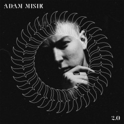 Levně Adam Mišík - 2.0 CD