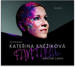 Levně Fantasie - CD