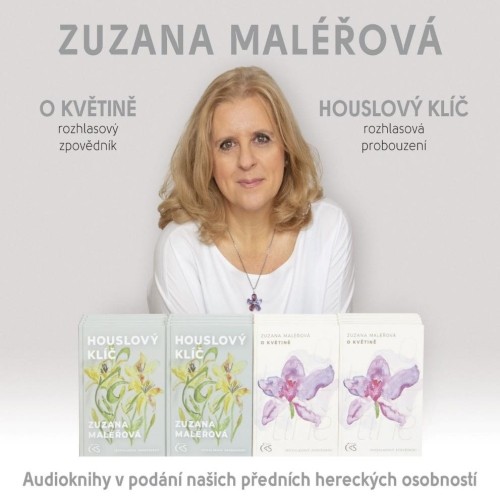 O květině & Houslový klíč - CD mp3
