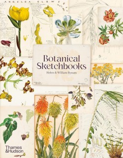 Levně Botanical Sketchbooks