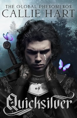 Levně Quicksilver