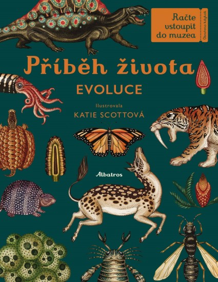 Příběh života - Evoluce