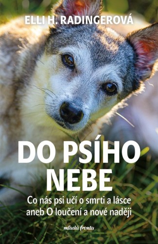 Levně Do psího nebe