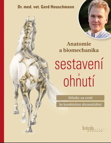 Levně Anatomie a biomechanika sestavení a ohnutí