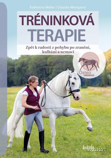Tréninková terapie