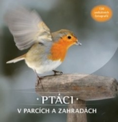 Ptáci v parcích a zahradách