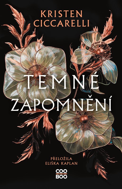 Levně Temné zapomnění