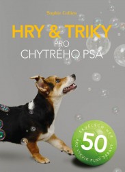 Hry a triky pro chytrého psa