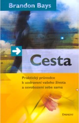 Cesta - praktický průvodce k uzdravení | BAYS, Brandon