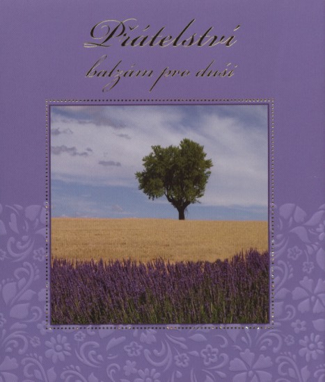 Přátelství - balzám pro duši