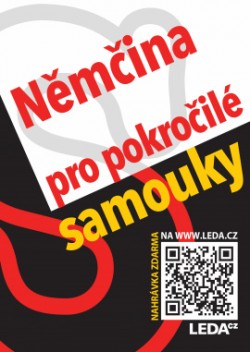 Levně Němčina pro pokročilé samouky + odkaz