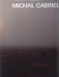 Michal Gabriel