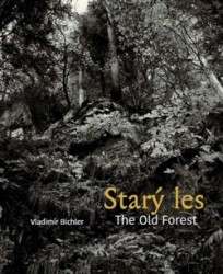 Levně Starý les / The Old Forest