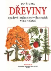 Dřeviny opadavé i stálezelené v ilustracích Věry Níčové