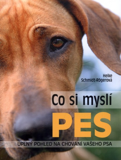 Co si myslí pes