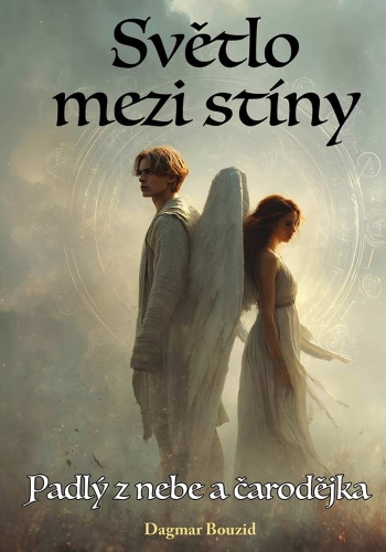Levně Světlo mezi Stíny - Padlý z nebe a čarodějka