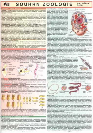 Souhrn zoologie | KOUBEK, Petr