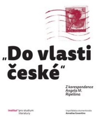 Do vlasti české