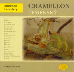 Levně Chameleon jemenský